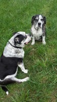 Kim und Rocky 2.jpg